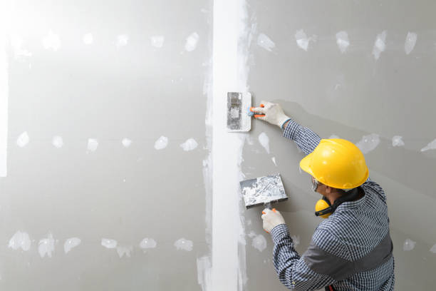 Best Forensic Mold Investigation  in Iroquois Point, HI