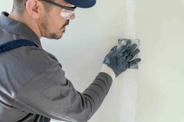 Mold Odor Removal Services in Iroquois Point, HI