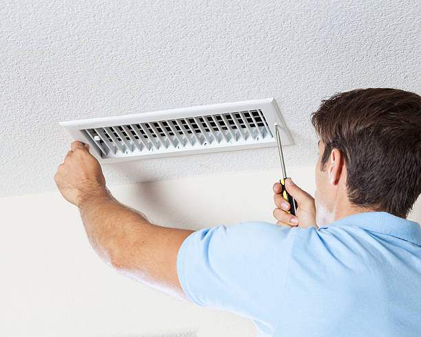 Best Basement Mold Removal  in Iroquois Point, HI