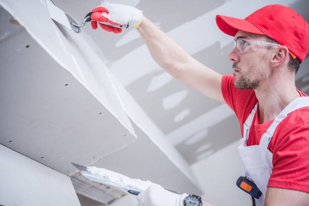 Best Mold Remediation for Healthcare Facilities  in Iroquois Point, HI